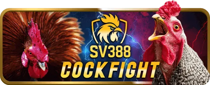 Câu hỏi thường gặp đá gà na99 casino